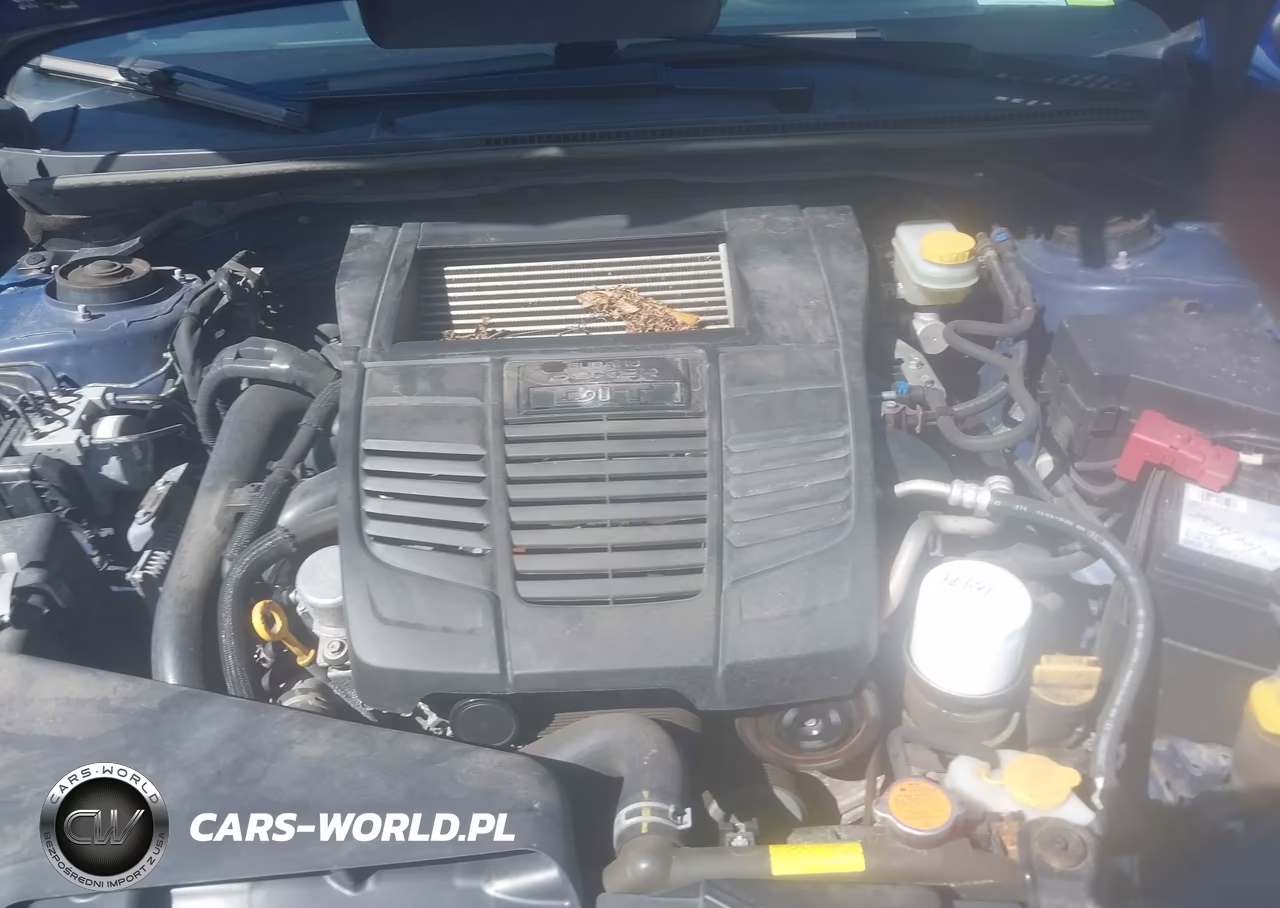 2019 Subaru Wrx VIN:JF1VA1A66K9809003 - 10