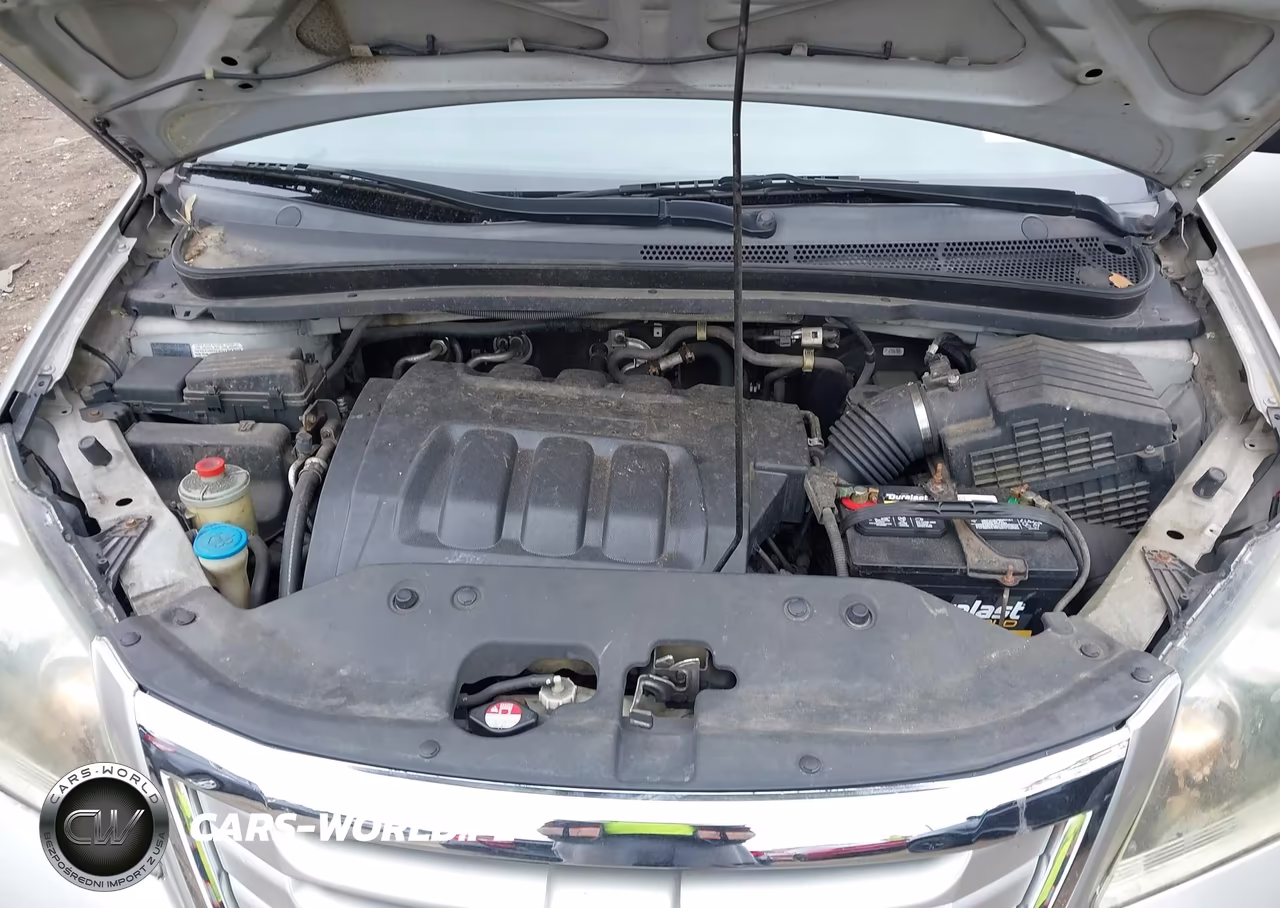 2009 Honda Odyssey Lx VIN:5FNRL38289B009257 - 10