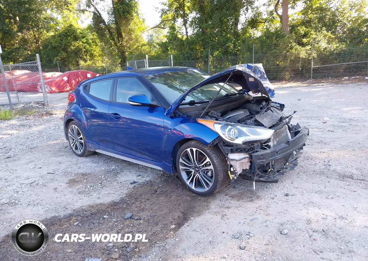 2016 Hyundai Veloster Turbo VIN:KMHTC6AE4GU252365 - 1