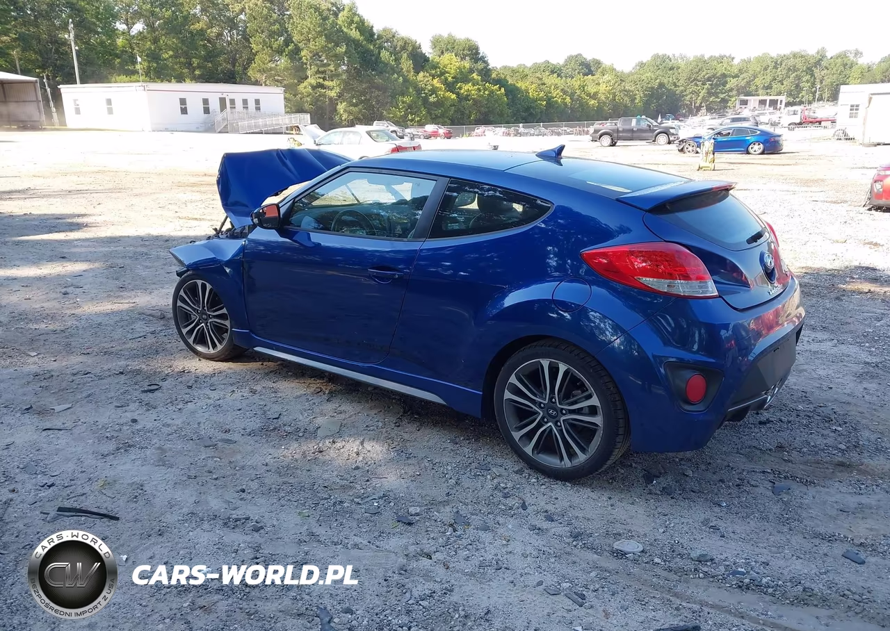 2016 Hyundai Veloster Turbo VIN:KMHTC6AE4GU252365 - 3
