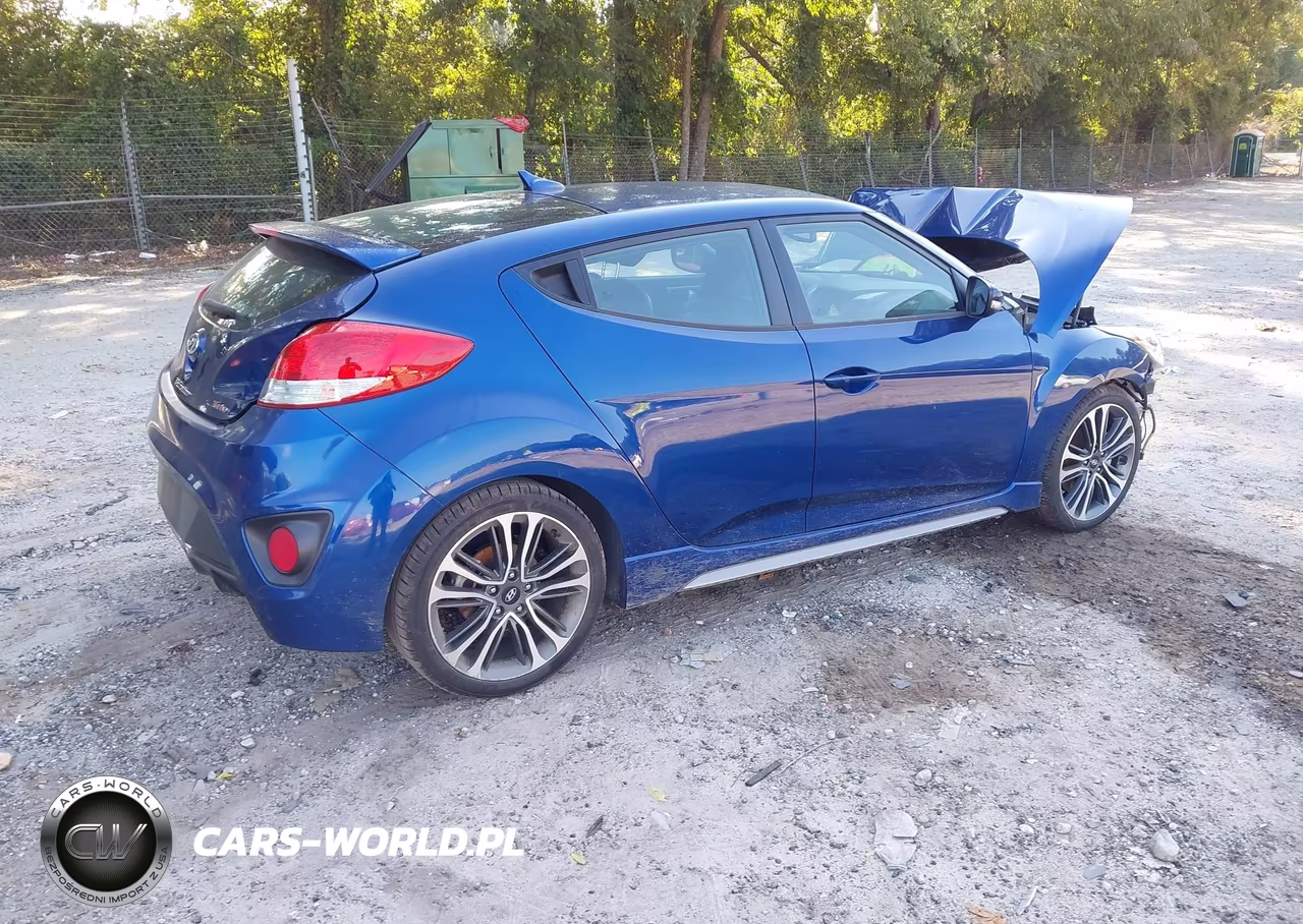 2016 Hyundai Veloster Turbo VIN:KMHTC6AE4GU252365 - 4