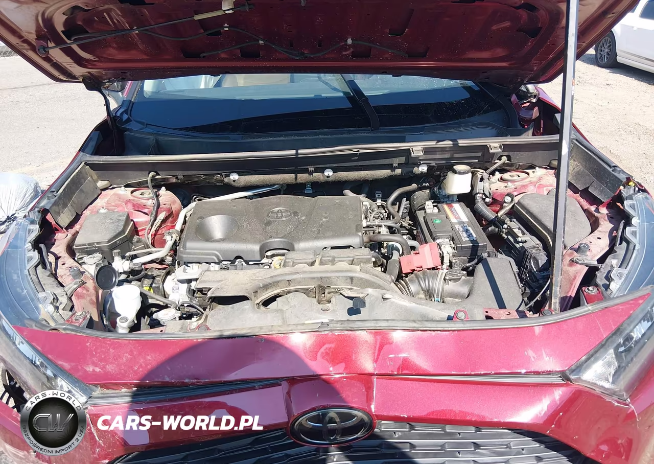 2019 Toyota Rav4 Le VIN:2T3H1RFV2KW044197 - 10