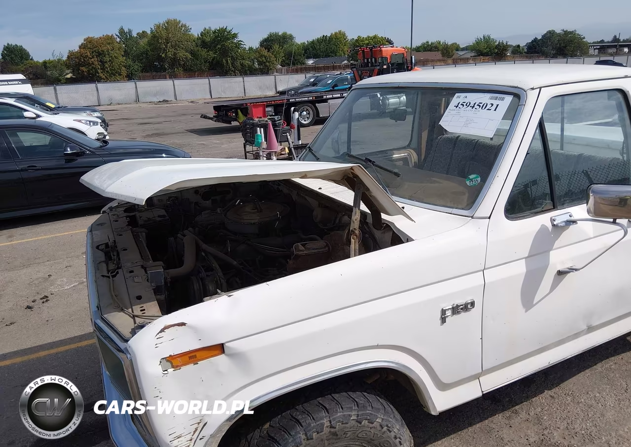 1984 Ford F150 VIN:1FTEF14Y0EPA94664 - 12