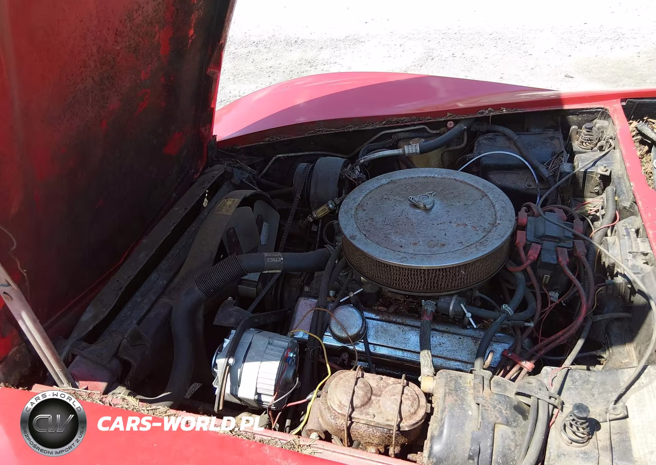1979 Chevrolet Corvette VIN:1Z8789S426255 - 10