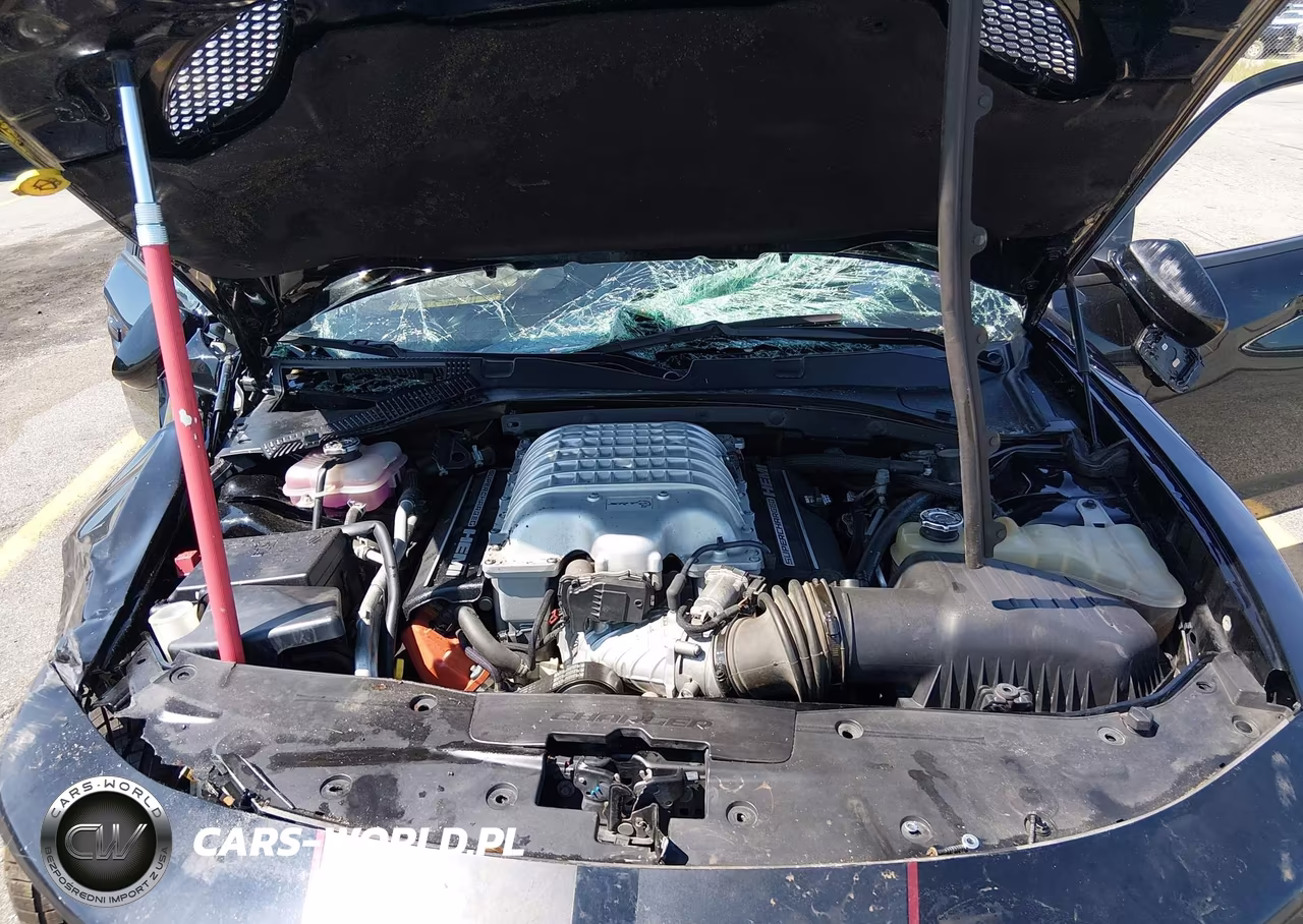 2019 Dodge Charger Srt Hellcat Rwd VIN:2C3CDXL91KH728188 - 10