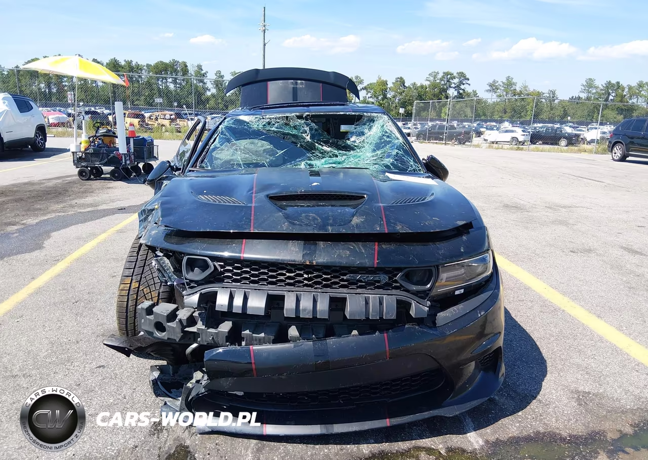 2019 Dodge Charger Srt Hellcat Rwd VIN:2C3CDXL91KH728188 - 12
