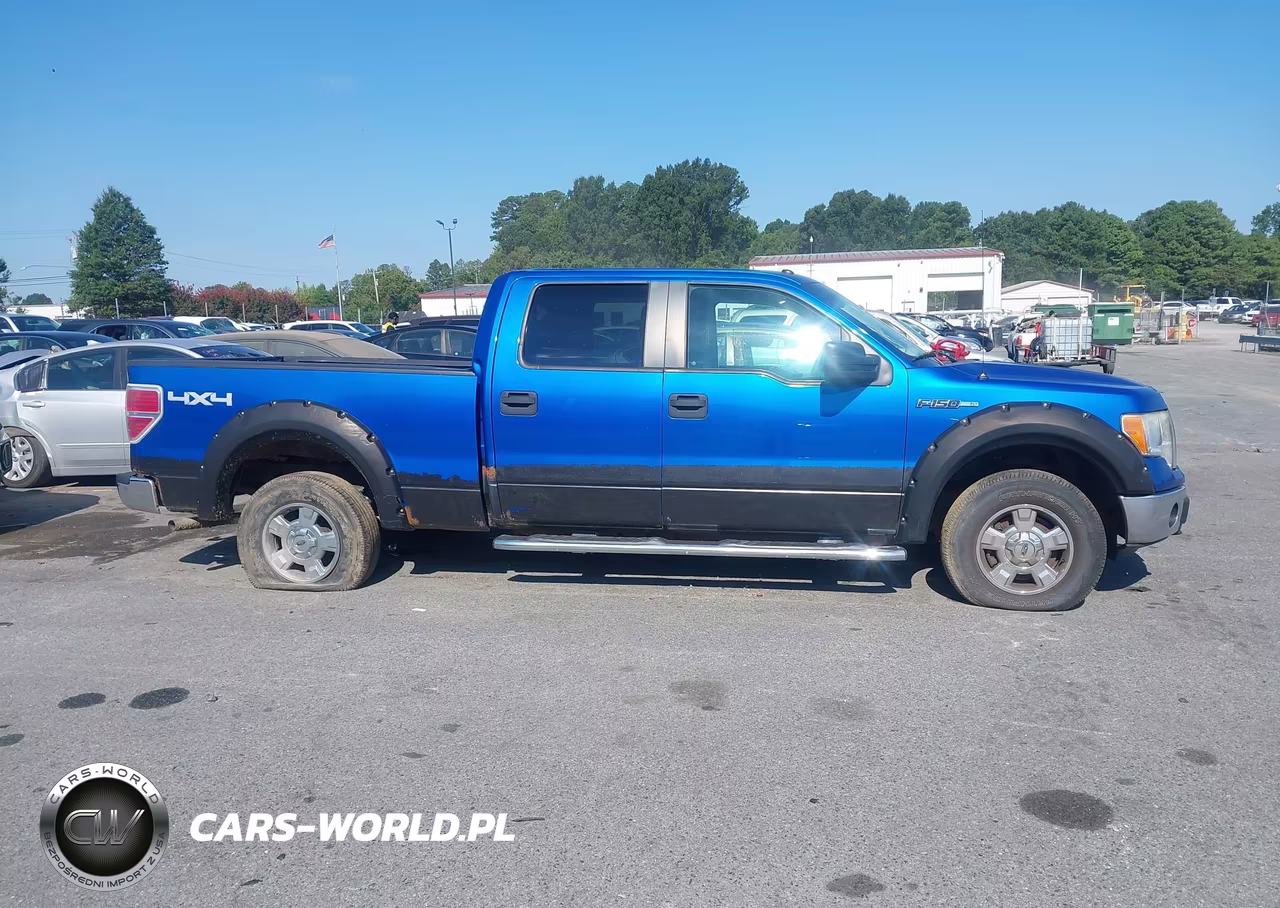 2010 Ford F-150 Xlt VIN:1FTFW1E88AFC93478 - 13