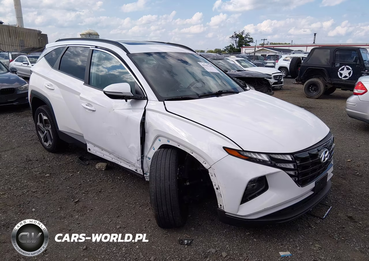 2024 Hyundai Tucson Sel VIN:5NMJFCDE8RH307892 - 1