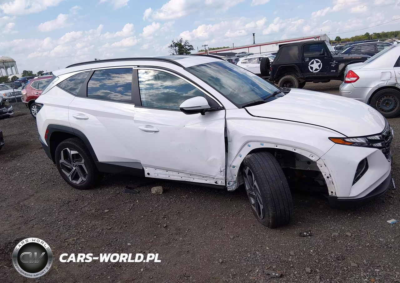 2024 Hyundai Tucson Sel VIN:5NMJFCDE8RH307892 - 13