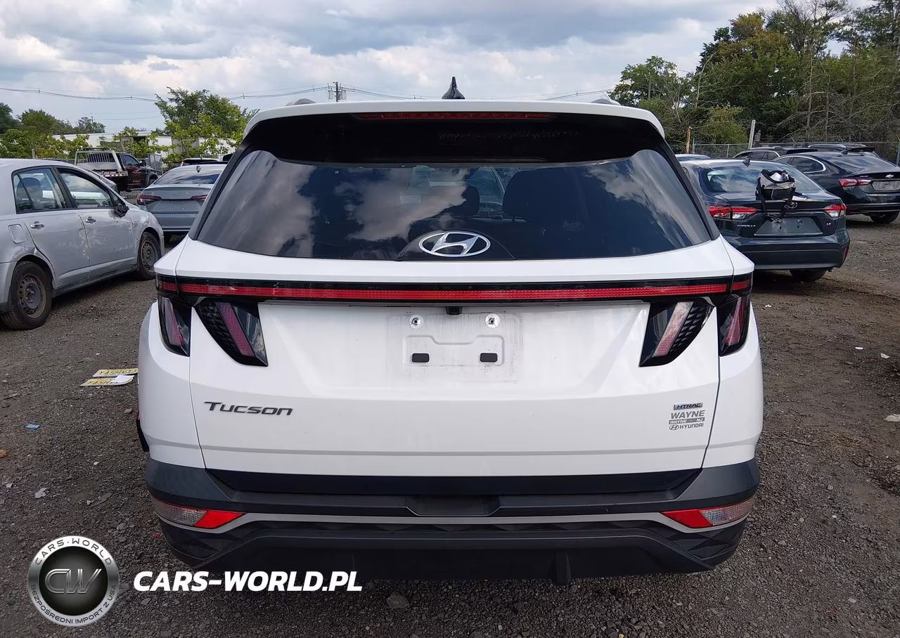 2024 Hyundai Tucson Sel VIN:5NMJFCDE8RH307892 - 16