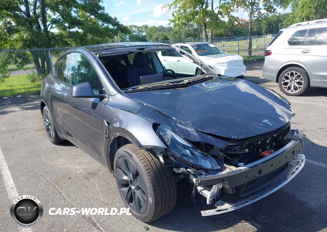 2025 Tesla Model Y Long Range Dual Motor Rear-Wheel Drive VIN:7SAYGDED3SA369005 - 1