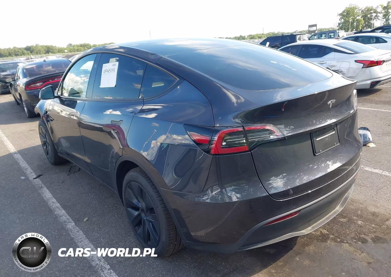 2025 Tesla Model Y Long Range Dual Motor Rear-Wheel Drive VIN:7SAYGDED3SA369005 - 3