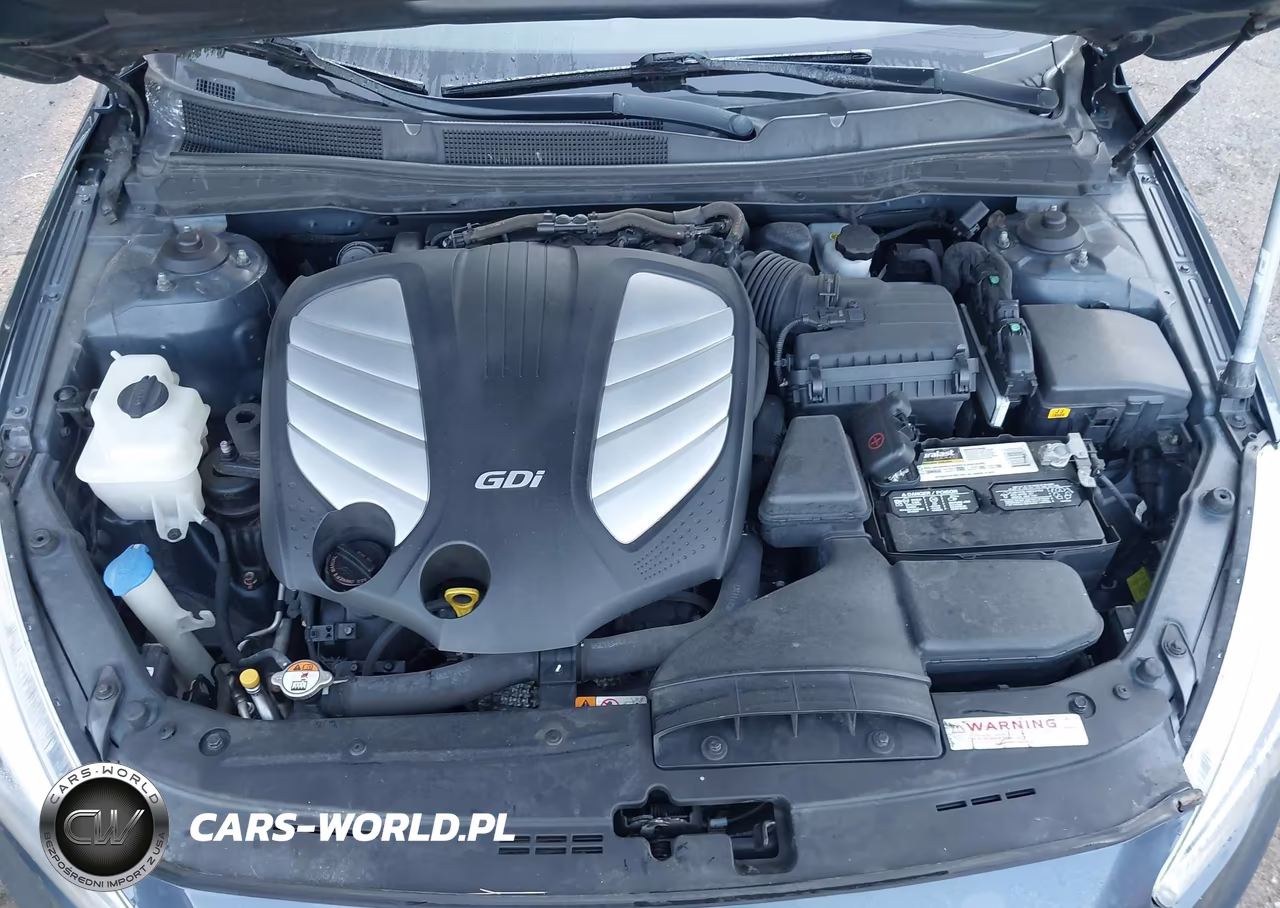 2014 Kia Cadenza Premium VIN:KNALN4D79E5143985 - 10