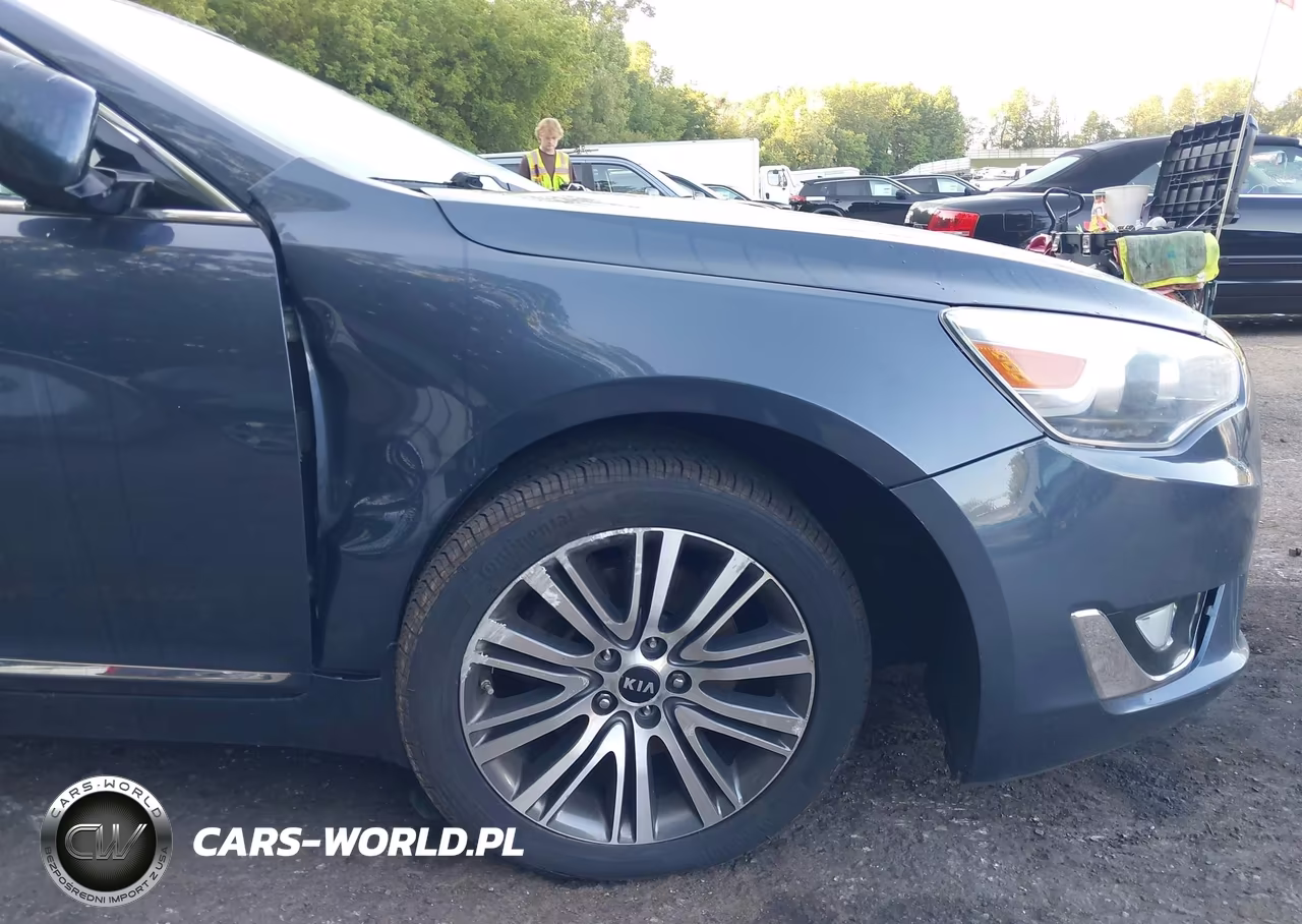 2014 Kia Cadenza Premium VIN:KNALN4D79E5143985 - 6