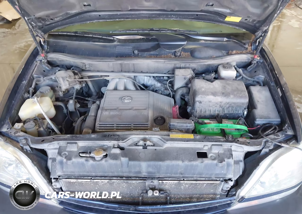 2001 Lexus Rx 300 VIN:JTJHF10U110191291 - 10