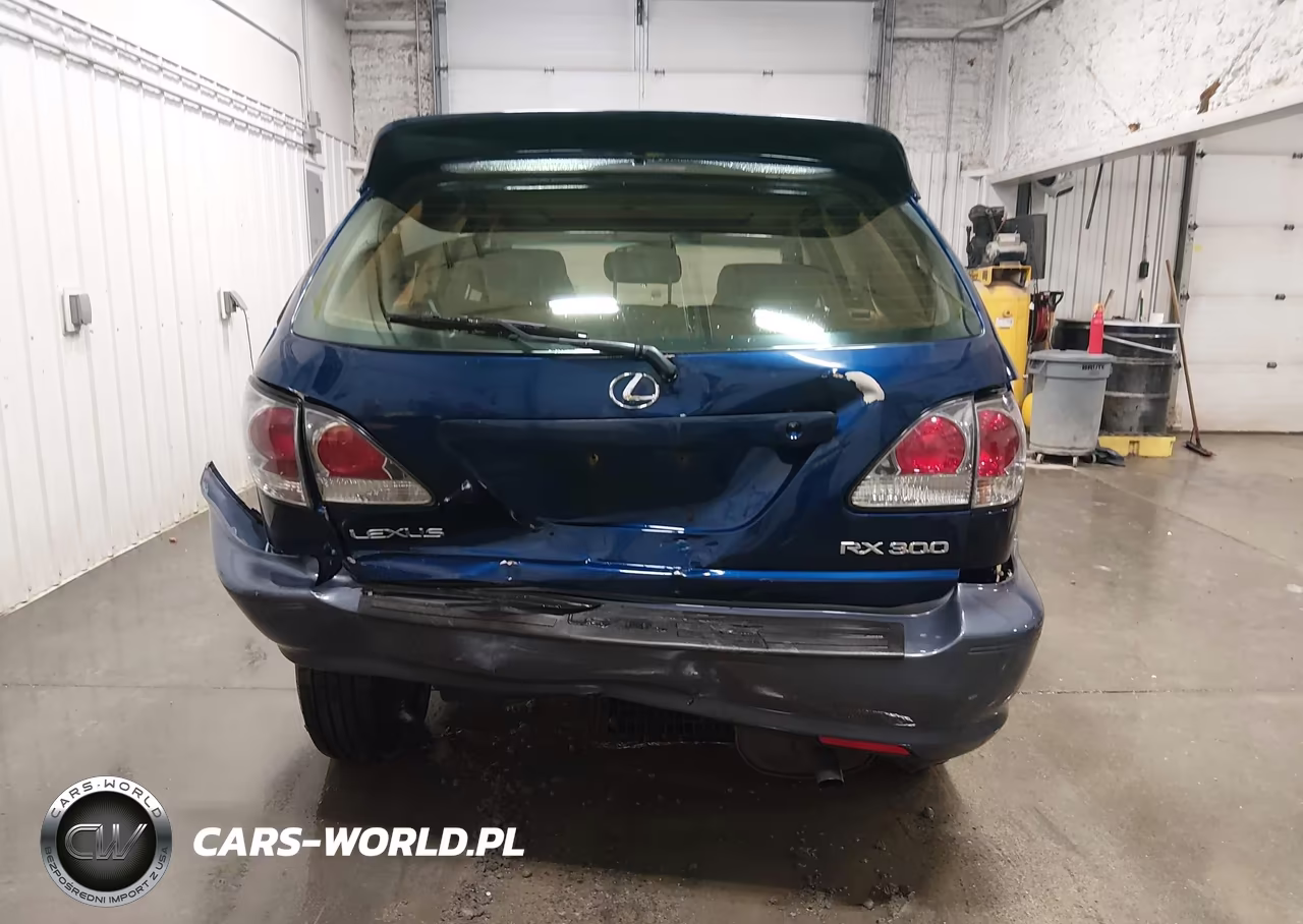 2001 Lexus Rx 300 VIN:JTJHF10U110191291 - 17