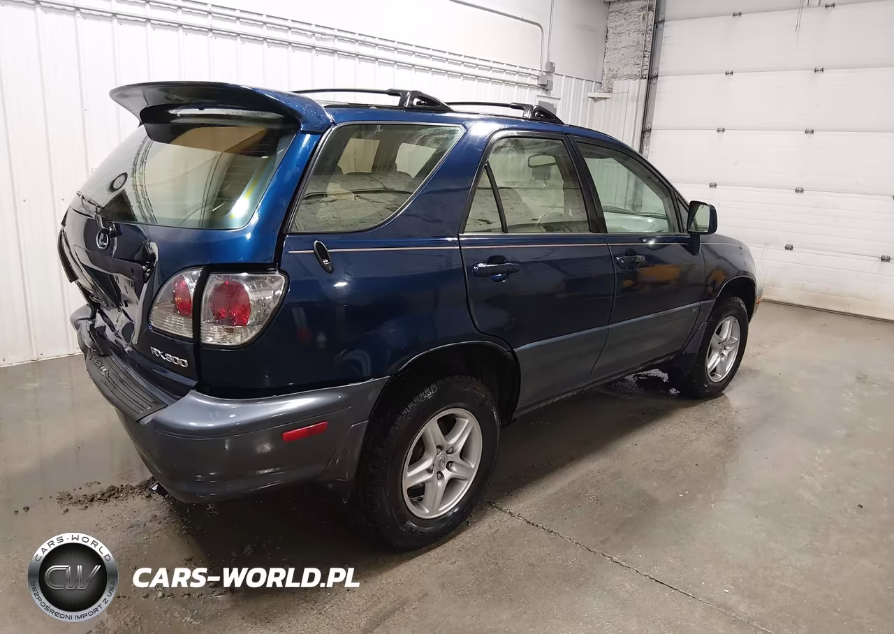 2001 Lexus Rx 300 VIN:JTJHF10U110191291 - 4