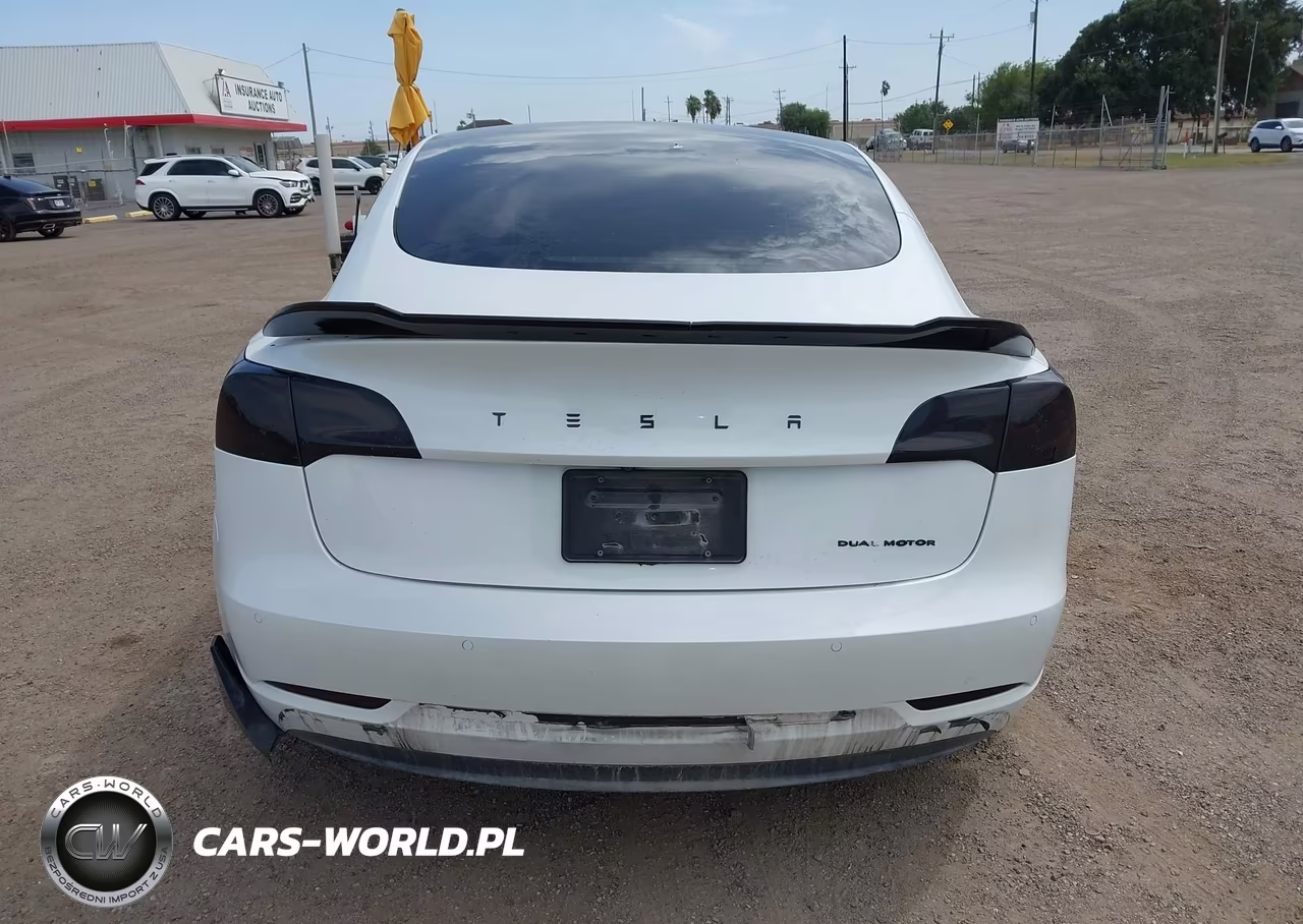 2021 Tesla Model 3 Standard Range Plus Rear-Wheel Drive VIN:5YJ3E1EA9MF030465 - 17