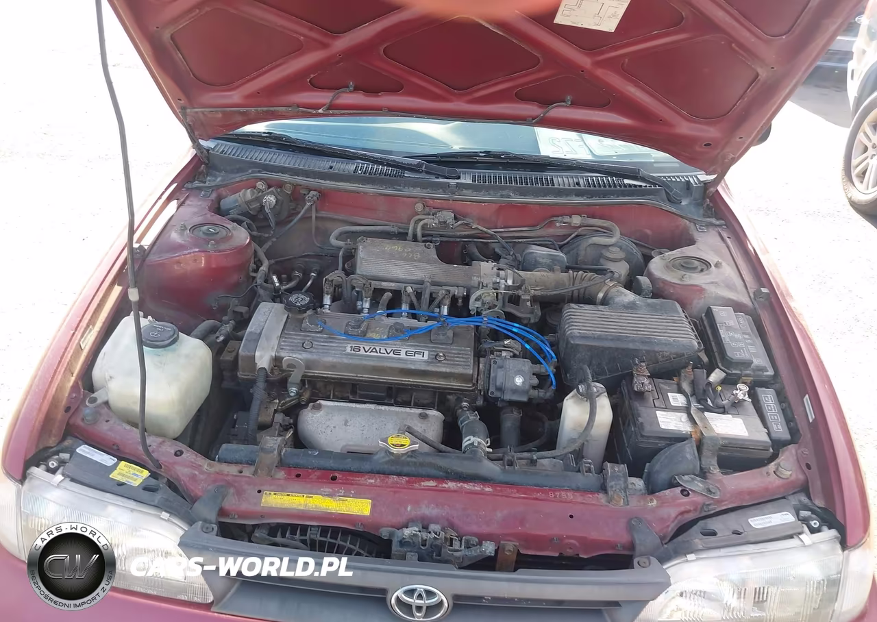 1993 Toyota Corolla VIN:1NXAE04E7PZ088488 - 10