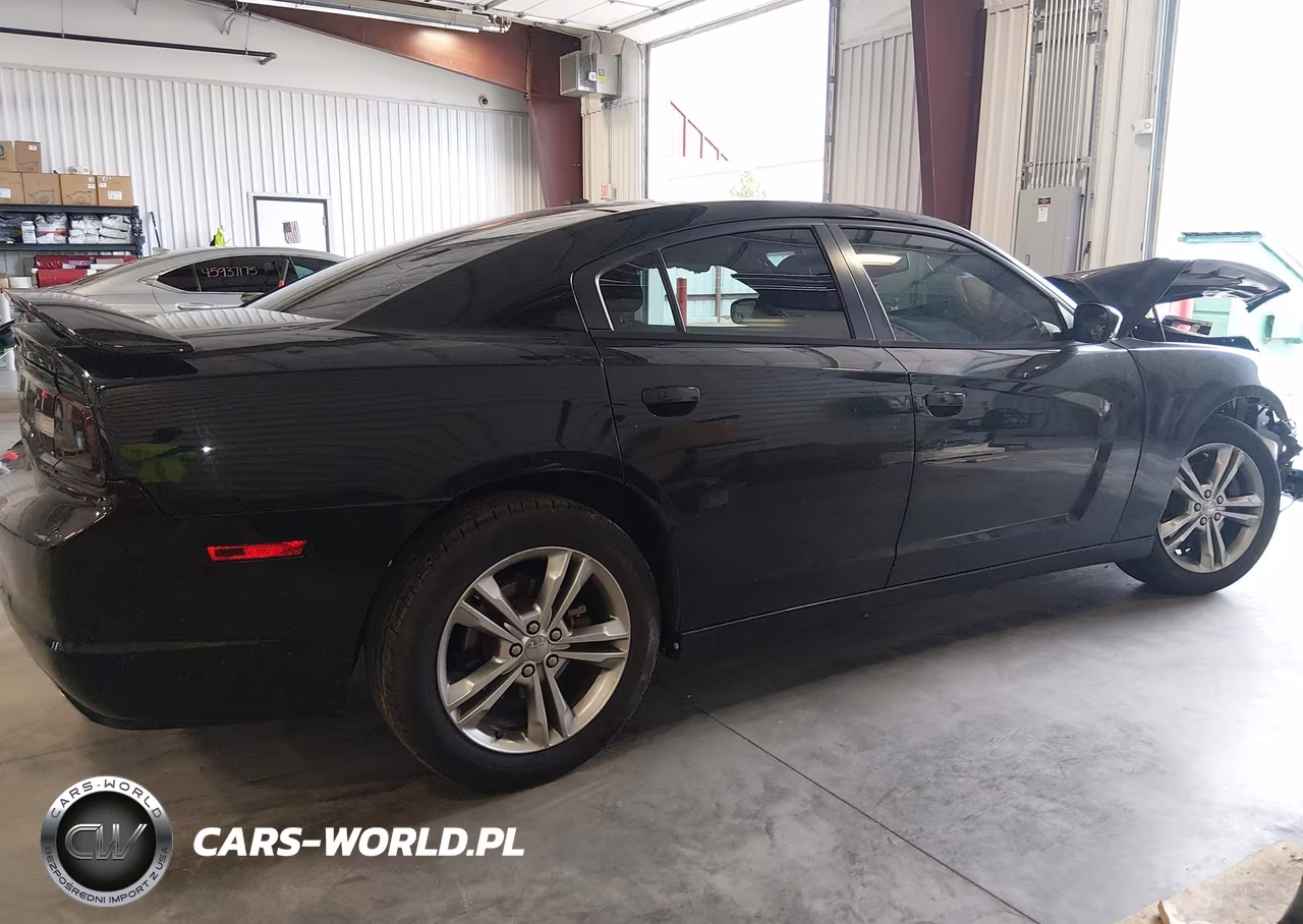 2013 Dodge Charger Sxt VIN:2C3CDXJG1DH564137 - 13