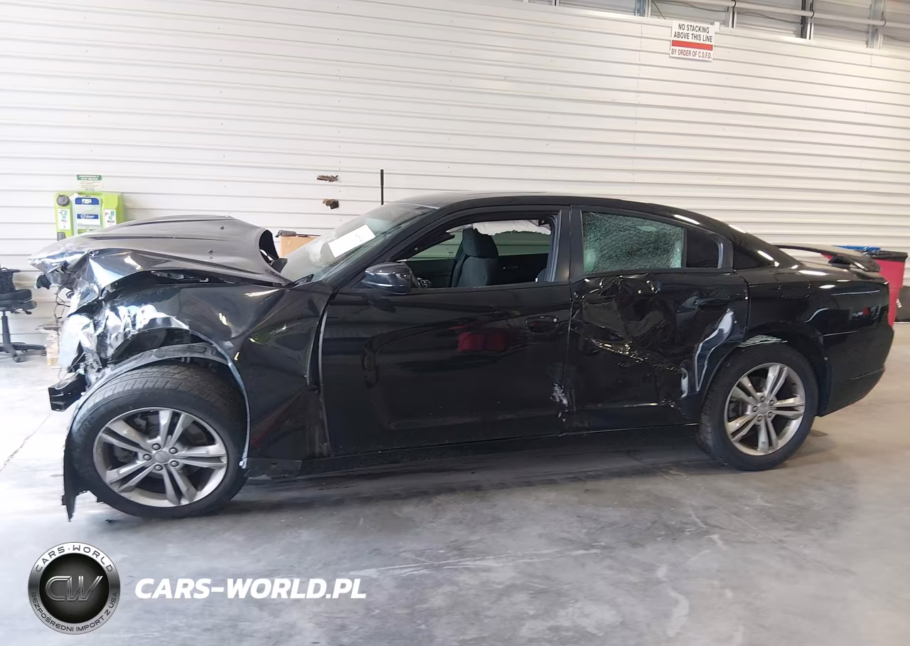 2013 Dodge Charger Sxt VIN:2C3CDXJG1DH564137 - 14