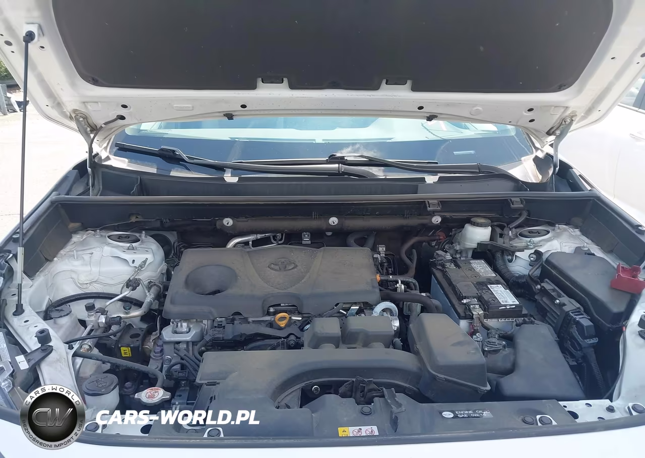 2023 Toyota Rav4 Xle VIN:2T3W1RFV4PC230811 - 10