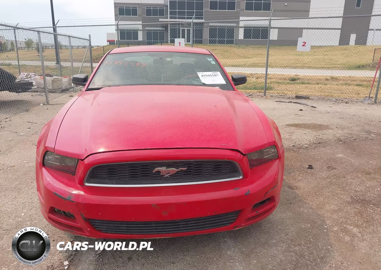 2013 Ford Mustang V6 VIN:1ZVBP8AM7D5281787 - 12