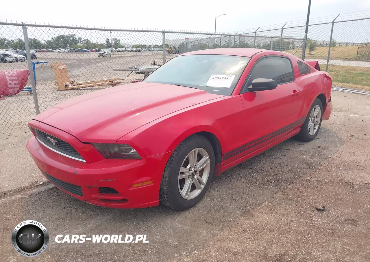 2013 Ford Mustang V6 VIN:1ZVBP8AM7D5281787 - 2