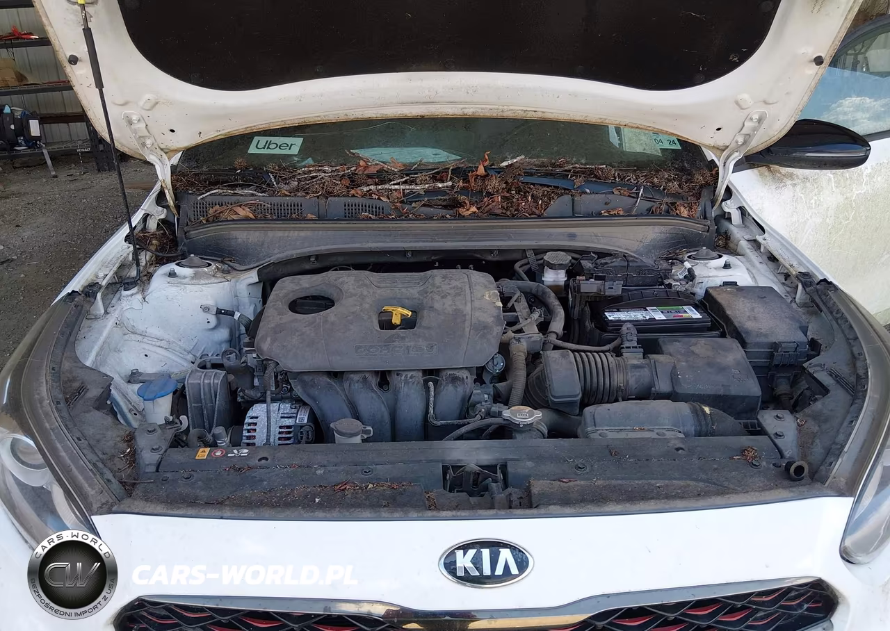 2021 Kia Forte Gt-Line VIN:3KPF34AD6ME351079 - 10