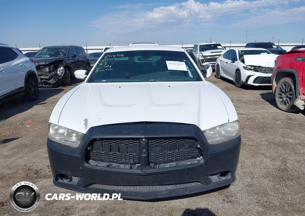 2013 Dodge Charger Police VIN:2C3CDXAT6DH629402 - 11