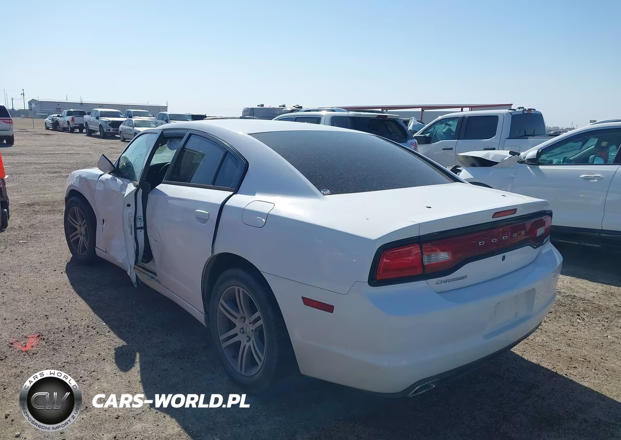 2013 Dodge Charger Police VIN:2C3CDXAT6DH629402 - 3