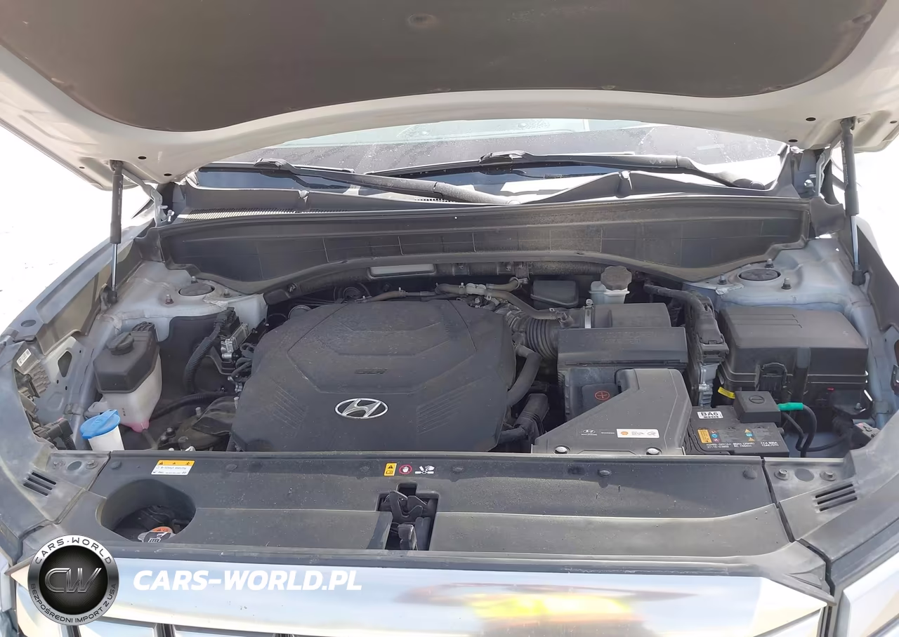 2023 Hyundai Palisade Calligraphy VIN:KM8R74GE1PU550902 - 10