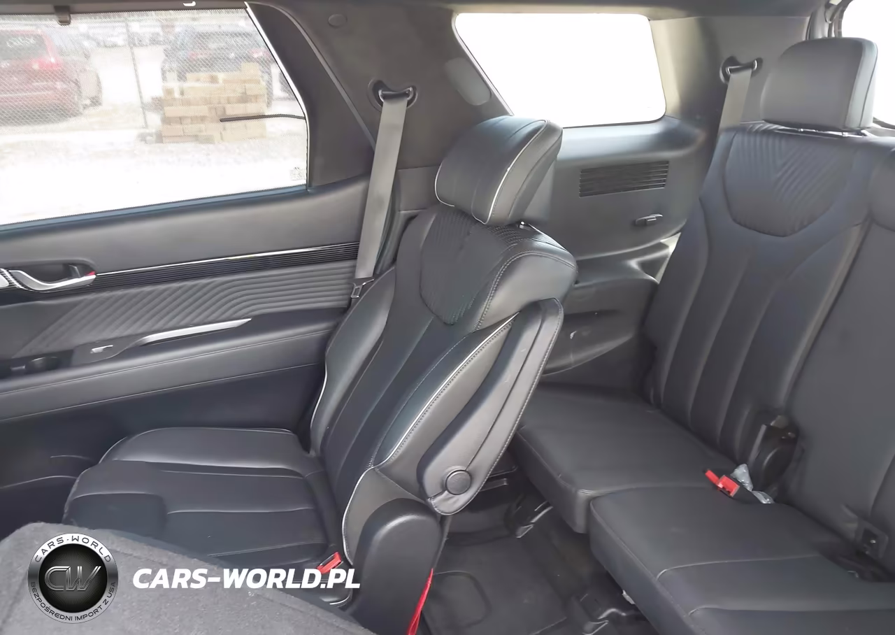 2023 Hyundai Palisade Calligraphy VIN:KM8R74GE1PU550902 - 20