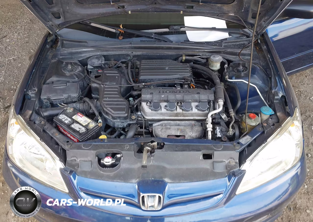 2004 Honda Civic Lx VIN:2HGES16504H534255 - 10