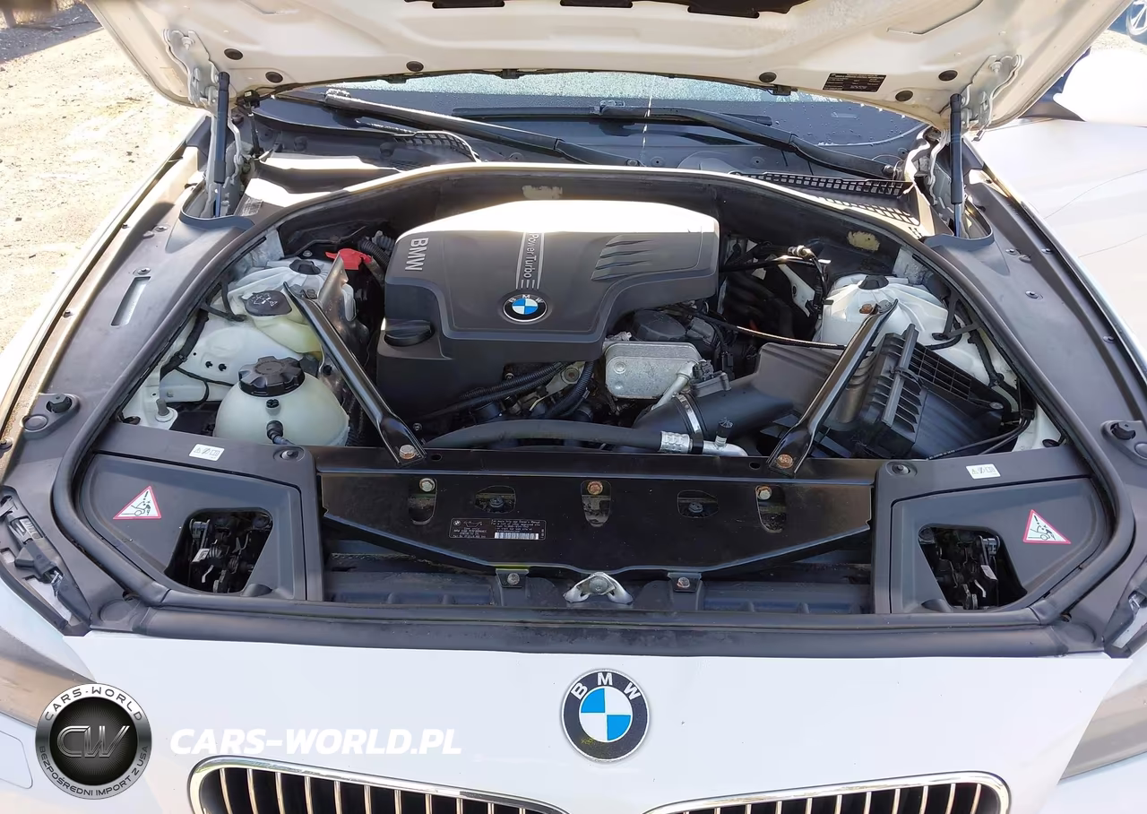 2013 BMW 528I xDrive VIN:WBAXH5C55DD113045 - 10
