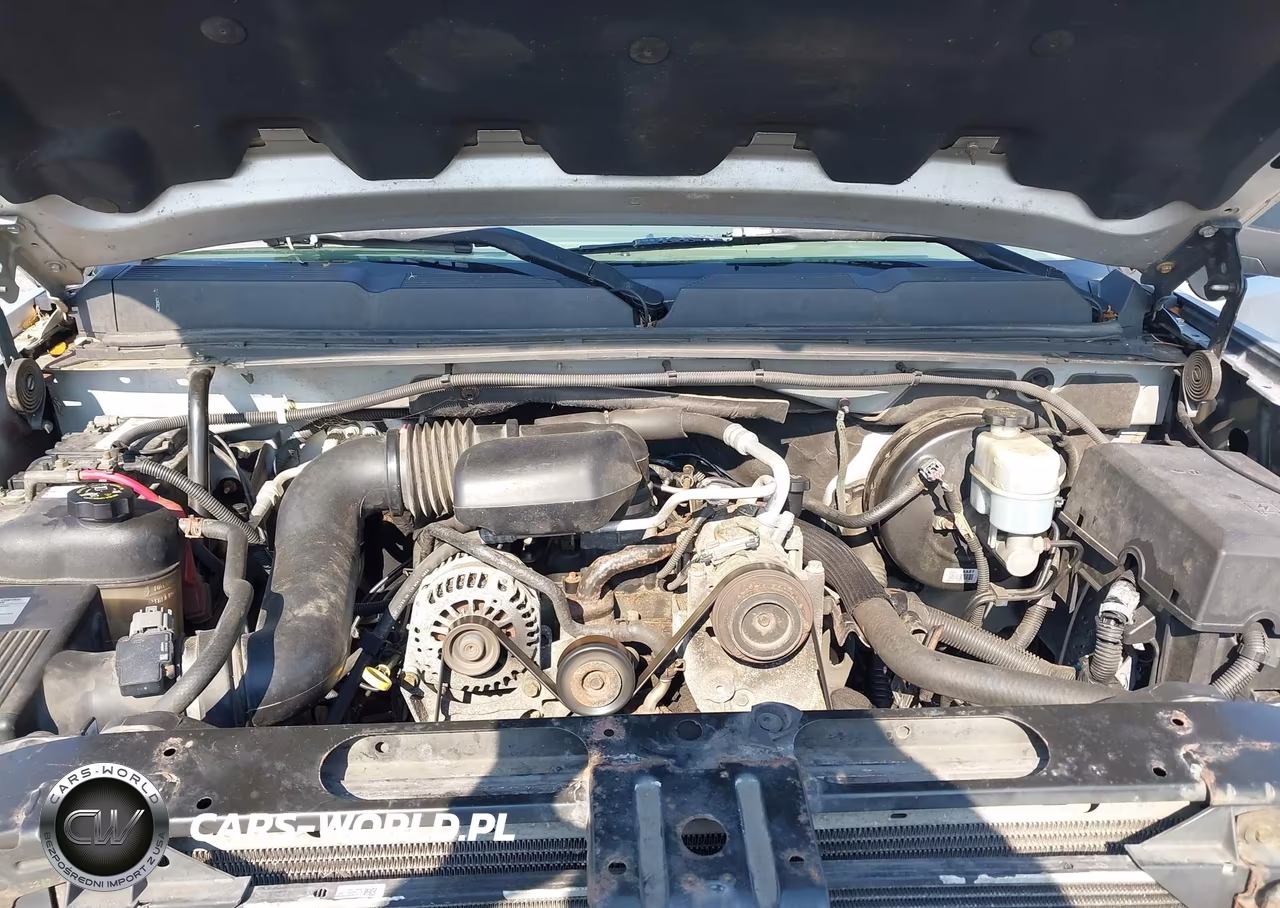 2010 Chevrolet Silverado 1500 Work Truck VIN:1GCSCPEX5AZ109209 - 10