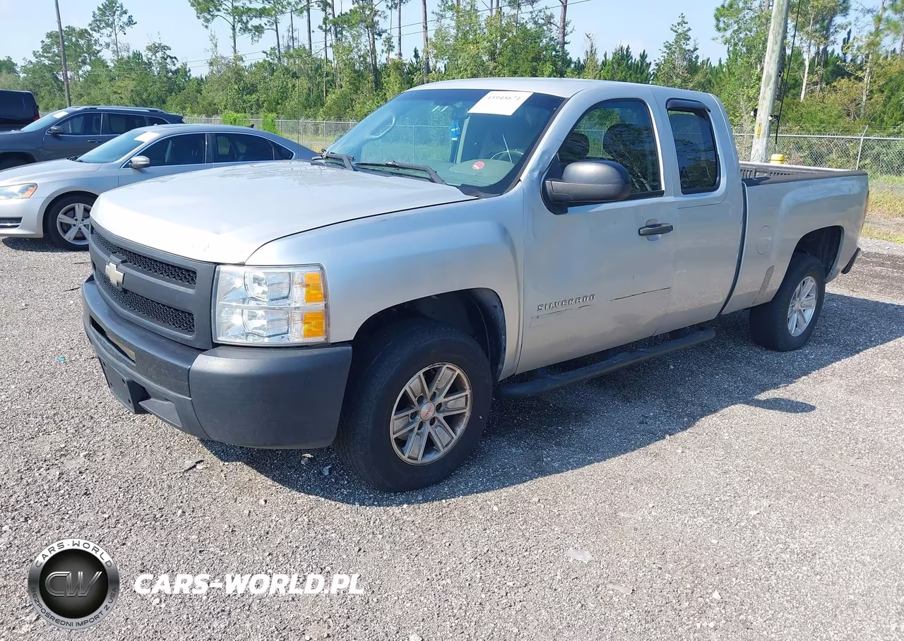 2010 Chevrolet Silverado 1500 Work Truck VIN:1GCSCPEX5AZ109209 - 2