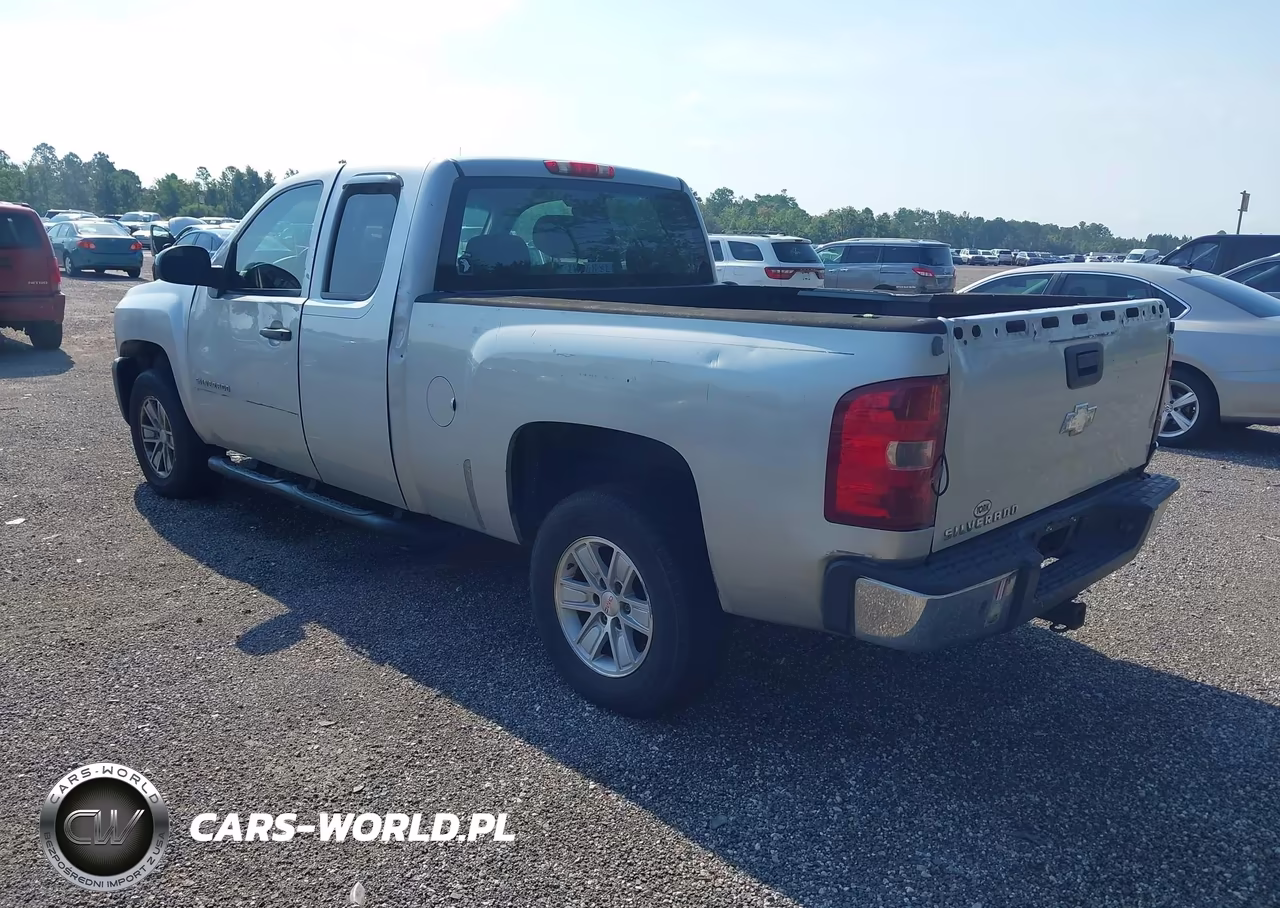 2010 Chevrolet Silverado 1500 Work Truck VIN:1GCSCPEX5AZ109209 - 3