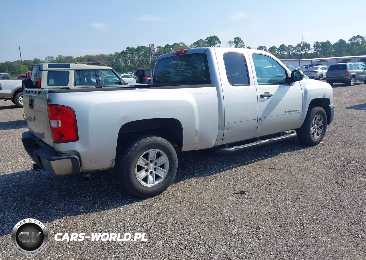2010 Chevrolet Silverado 1500 Work Truck VIN:1GCSCPEX5AZ109209 - 4