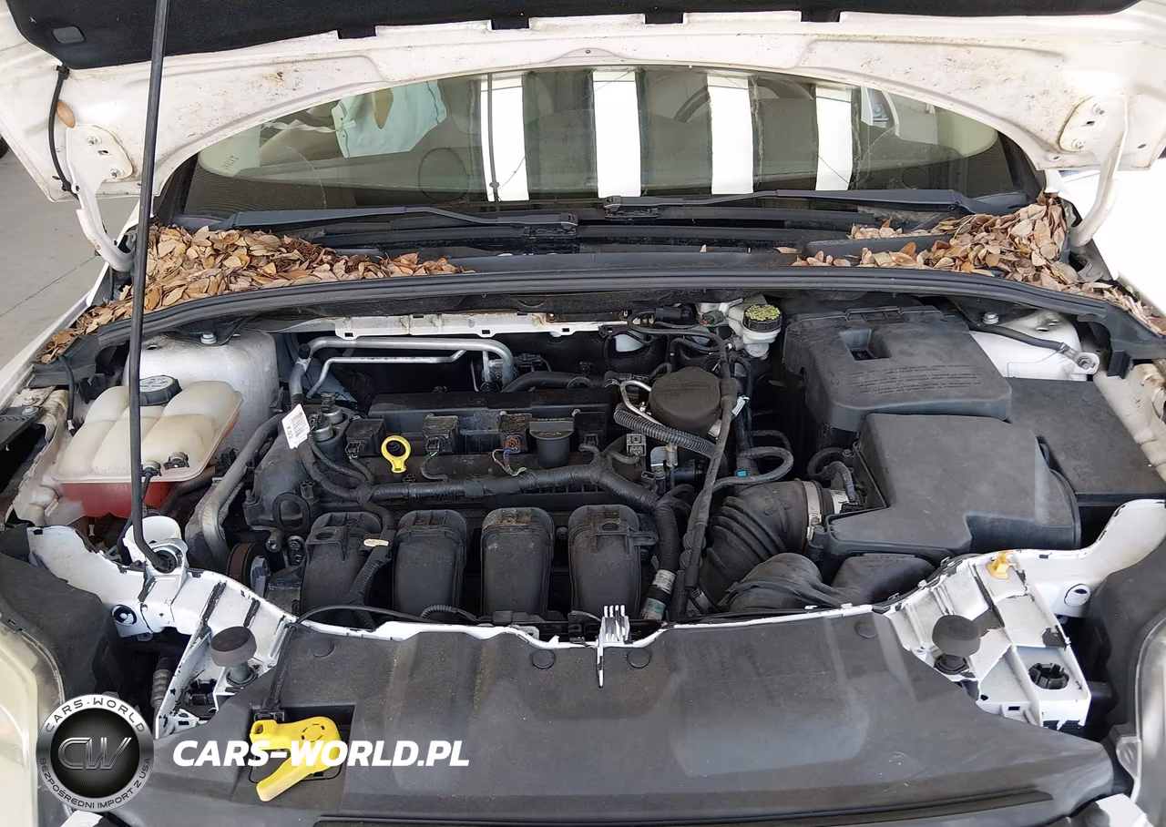 2012 Ford Focus Sel VIN:1FAHP3H23CL288062 - 10