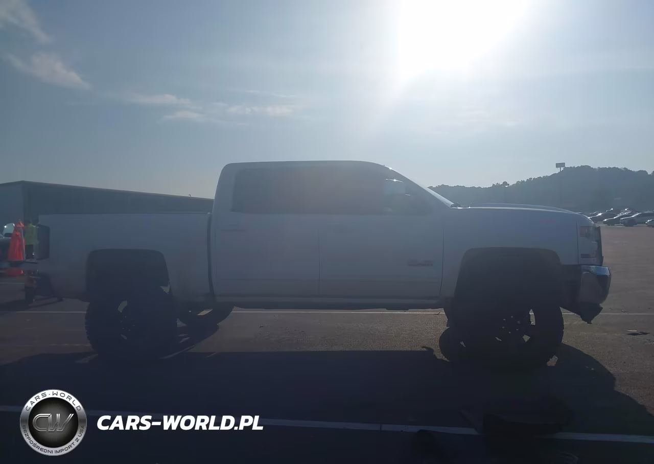 2017 Chevrolet Silverado 1500 Lt VIN:3GCUKREC9HG106473 - 13