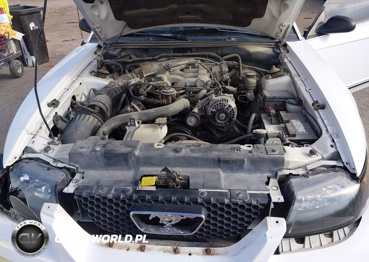 2000 Ford Mustang VIN:1FAFP4042YF215409 - 10