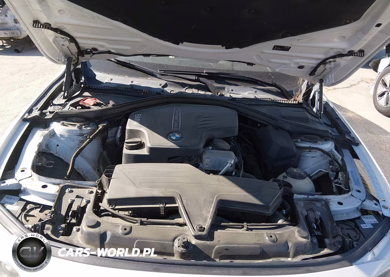 2016 BMW 428I VIN:WBA3N7C59GK225642 - 10