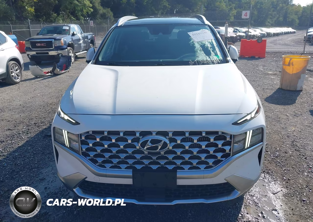 2022 Hyundai Santa Fe Hybrid Sel Premium VIN:KM8S3DA15NU044246 - 13