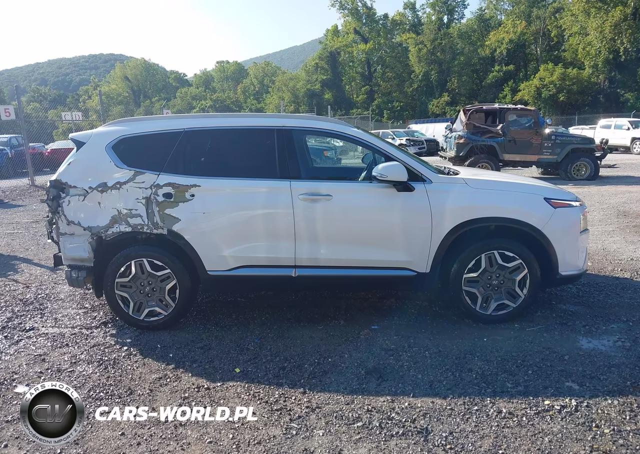2022 Hyundai Santa Fe Hybrid Sel Premium VIN:KM8S3DA15NU044246 - 14