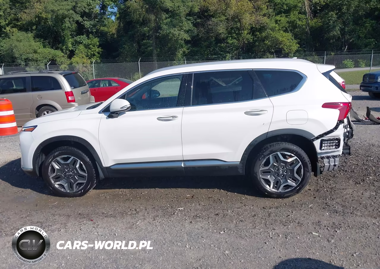 2022 Hyundai Santa Fe Hybrid Sel Premium VIN:KM8S3DA15NU044246 - 15