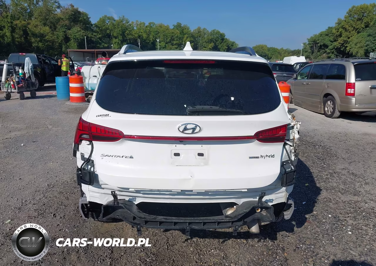 2022 Hyundai Santa Fe Hybrid Sel Premium VIN:KM8S3DA15NU044246 - 17