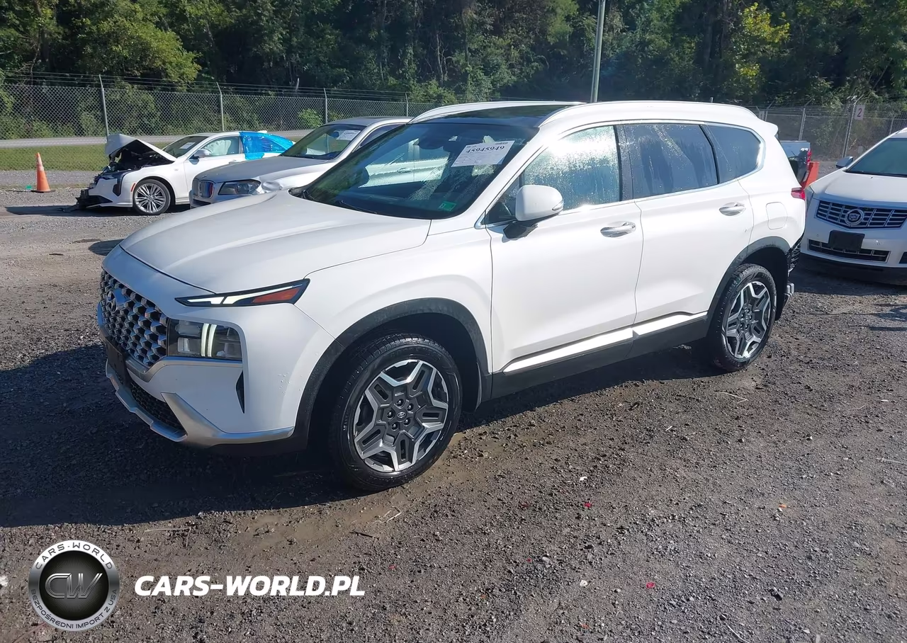 2022 Hyundai Santa Fe Hybrid Sel Premium VIN:KM8S3DA15NU044246 - 2