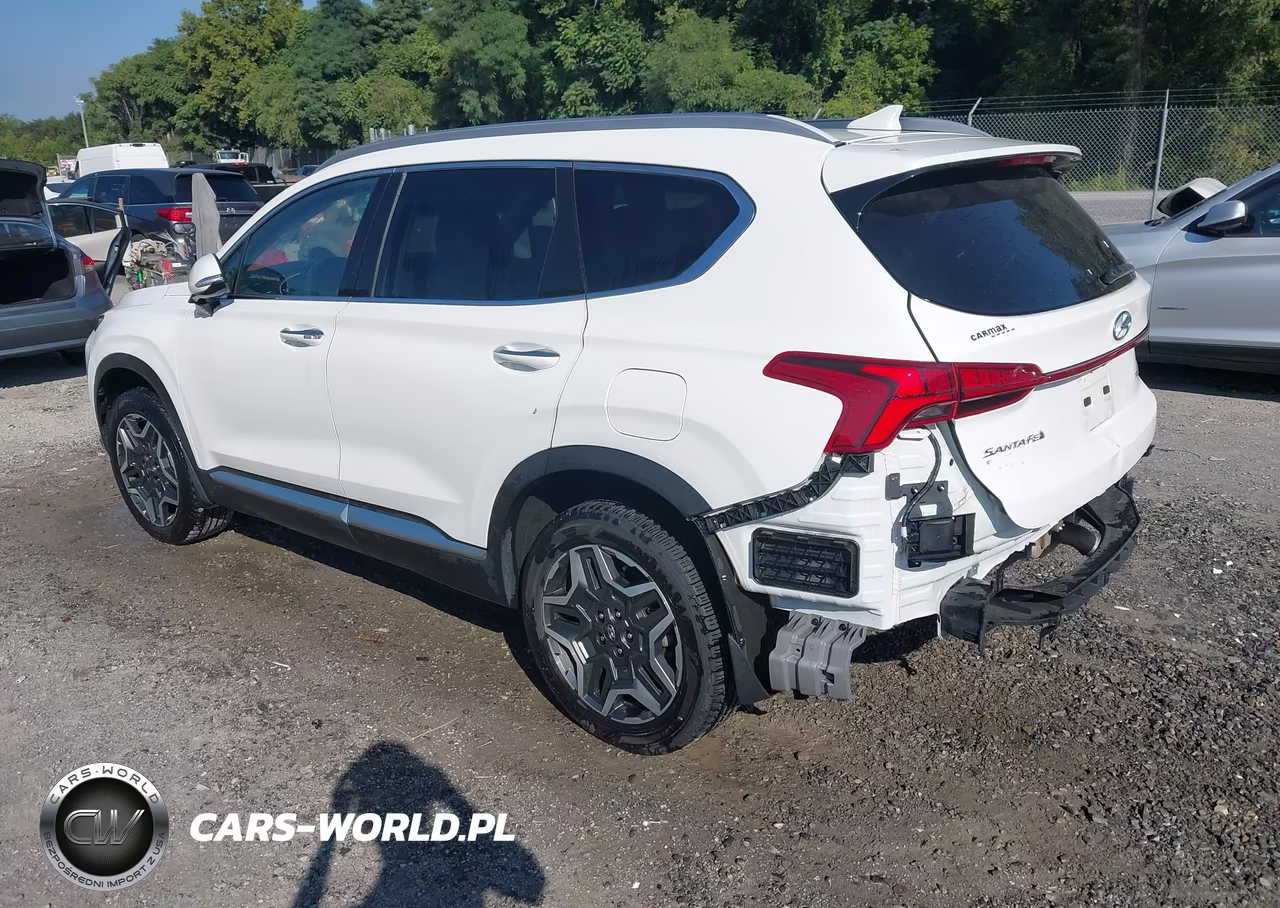 2022 Hyundai Santa Fe Hybrid Sel Premium VIN:KM8S3DA15NU044246 - 3