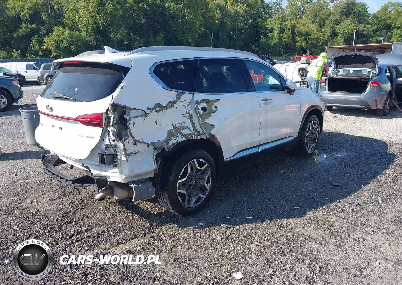 2022 Hyundai Santa Fe Hybrid Sel Premium VIN:KM8S3DA15NU044246 - 4